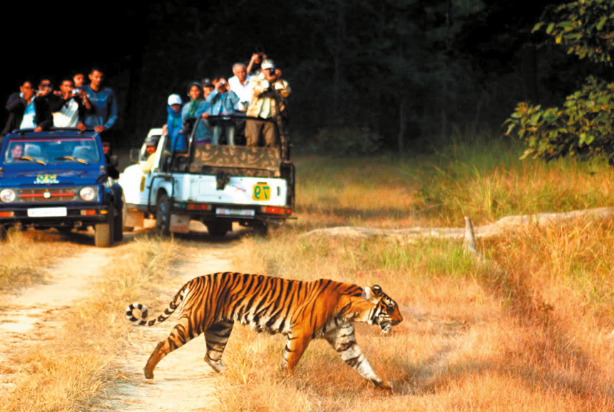 Nainital Jim Corbett Masoorie