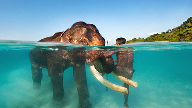 Mega Andaman